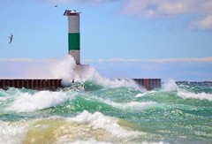 Beautiful Nature Photographs, Archival Quality Prints, Matted and Signed