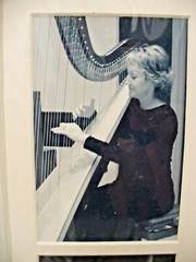 MATTED PHOTOGRAPHY Gainesville Chamber Orchestra 25th By Larry Santucci 16×20