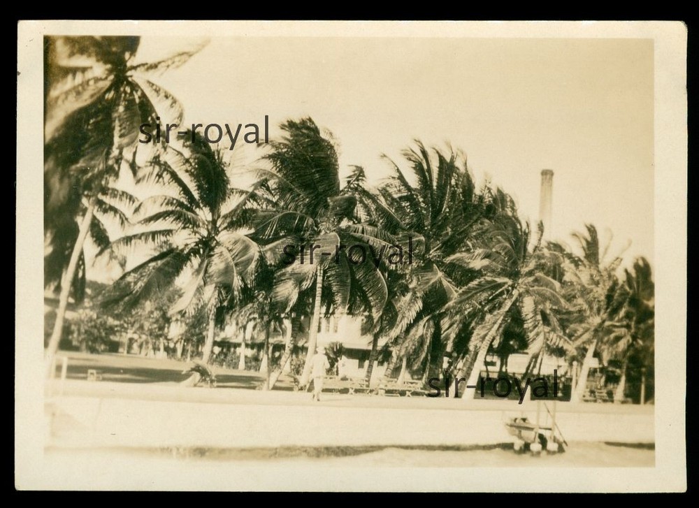 Kingston 1929 – Promenade with Palm Trees – Jamaica 1920s – Photo 9x6cm