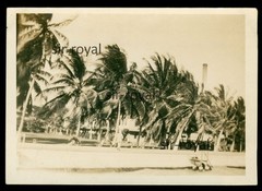 Kingston 1929 – Promenade with Palm Trees – Jamaica 1920s – Photo 9x6cm