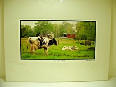 MATTED PHOTOGRAPHY Covered Bridge By Dom Martino 5/23/03 20x16in