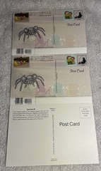 105 Nature Art Photographs 6×4” & 5.25 x4” Vibrant Colorful & 4 Post Cards