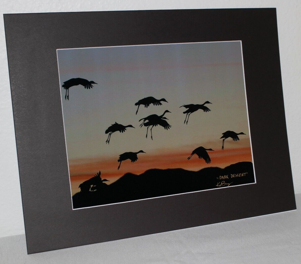 Sandhill Cranes Wildlife Photo 8″ x 10″ in 11″ x 14″ Matte Signed by Kim Barry