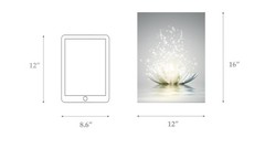 Canvas Prints Art Lotus Floral Pictures Wall Art for Zen Office Decor Meditat…