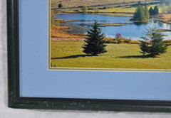 Framed & Matted Photograph by Susan Slapin WA. USA Aluminum Metal Print Signed