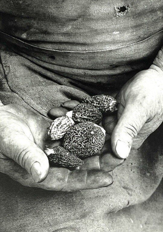 Tessa Traeger (b. 1933) Art Announcement Card 1998 – Ardèche – Witkin Gallery NY