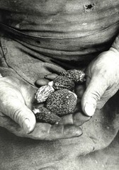 Tessa Traeger (b. 1933) Art Announcement Card 1998 – Ardèche – Witkin Gallery NY