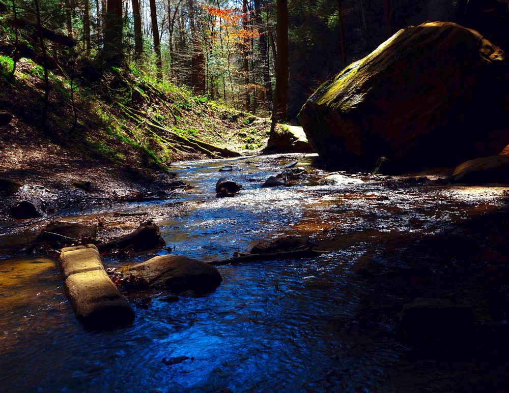 LANDSCAPE 8.5×11 or 13X19 COLOR BORDERLESS GLOSSY PRINT (FREE SHIPPING)