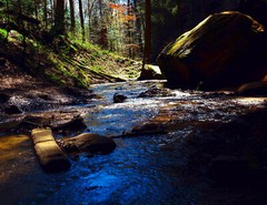 LANDSCAPE 8.5×11 or 13X19 COLOR BORDERLESS GLOSSY PRINT (FREE SHIPPING)