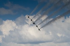 «Air ForceThunderbirds» 2022 (12 x 18″ Metal Photo Print)