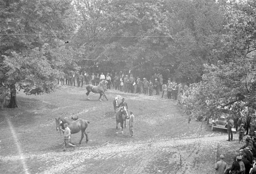 Negative-Marksuhl-Thuringia-Wartburgkreis-Horse Market-Show-1930s-248