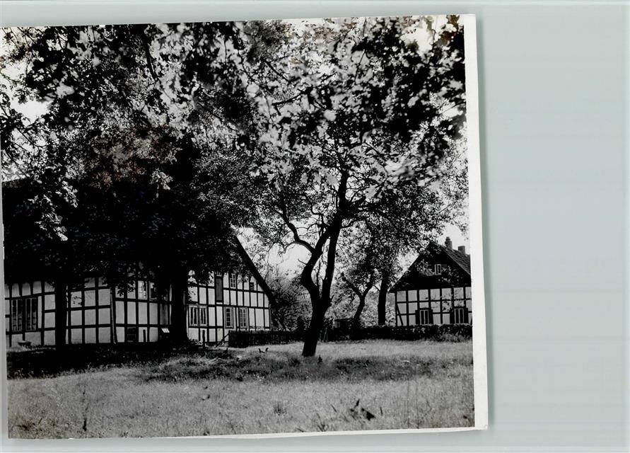 40137605 – 4802 Hoerste Half-Timbered Houses Blooming Tree Photo 12x14cm