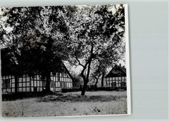40137605 – 4802 Hoerste Half-Timbered Houses Blooming Tree Photo 12x14cm