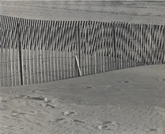 Old Photo Black & White Fence & Sand 8×10 Mid-Century VTG NEW MCM Original Art