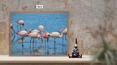 Wild Flamingoes, High Resolution Image, Many Formats, TV Art