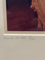 Bill Coleman Amish No. 454 Signed by artist, numbered Framed Color Photograph