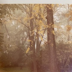 Phil Rusten Signed Framed Photograph “Come Walk With Me” 14×16 Michigan Autumn