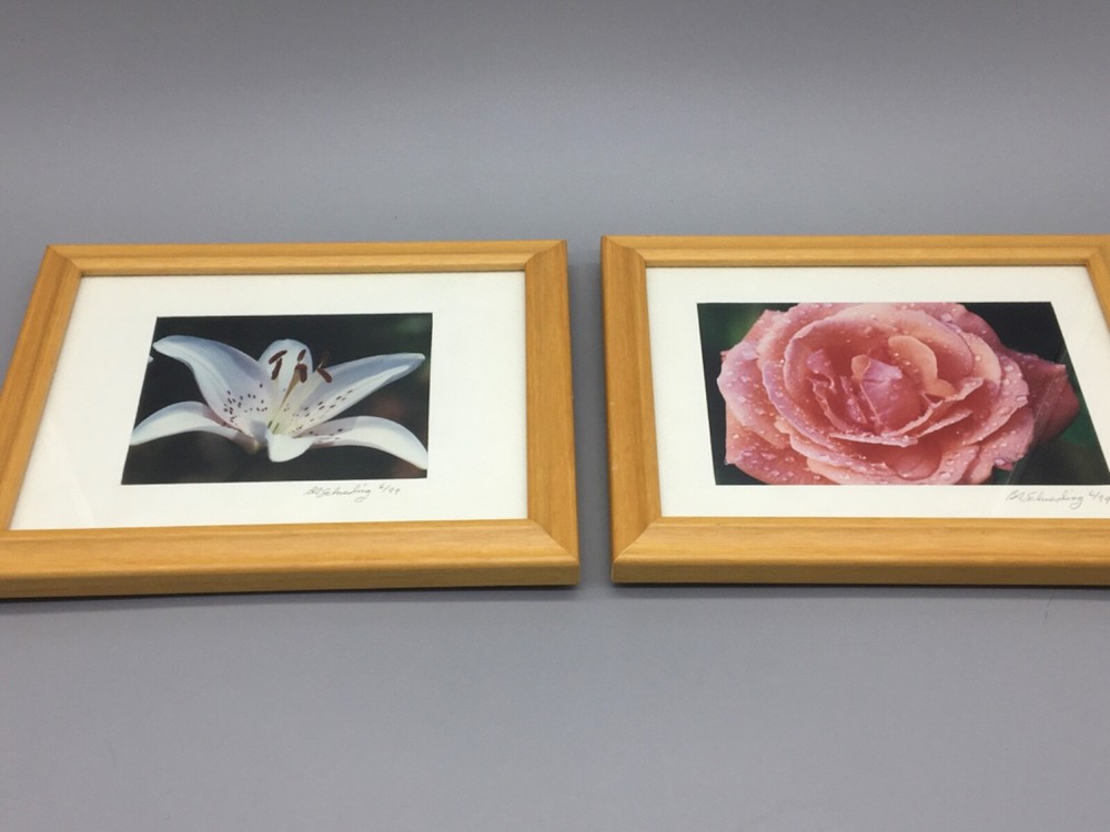Pair of WALL ART Framed, Signed & Matted Floral Photographs B.A. Schmeding 6/99