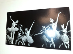 NYC Ballet Swan Lake in Rochester, NY 1978 Ballerina 6X10″ Gelatin Silver Photos