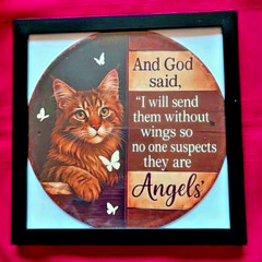 2D Flat Aluminum Metal Cat Photo 7. 87×7. 87″, Black 8×8″ Frame