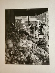 MARKET APPLES LARGE ORIGINAL SIGNED ART PHOTO B&W STETTNER VTG MATTE NJ CAMERA