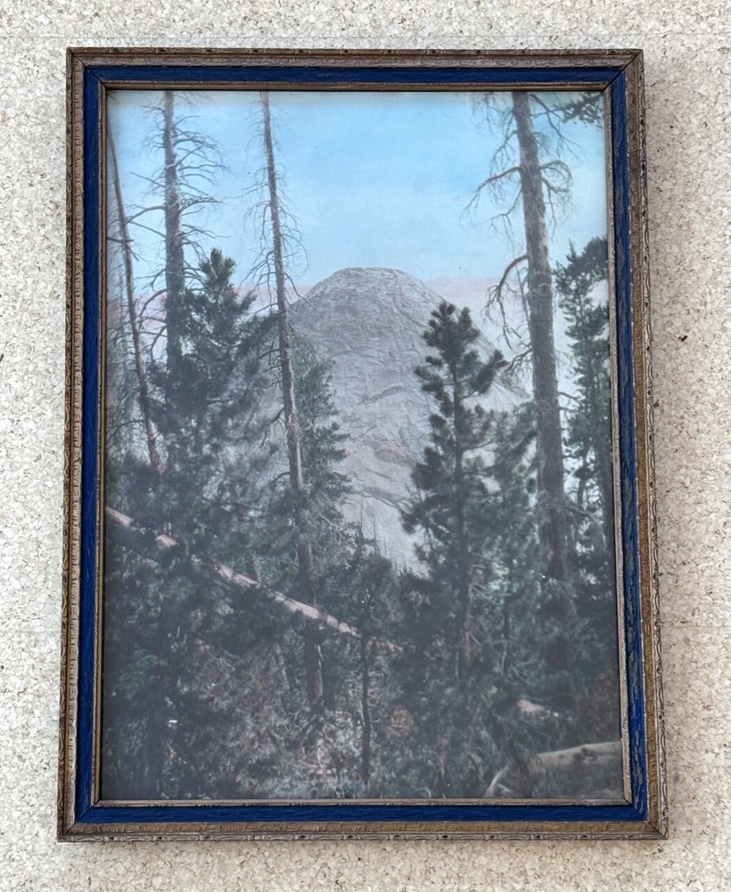 Vintage Hand Tint Oil Color Photo Yosemite CA. Sentinel North Dome 15”x11” VGC