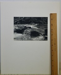 Lot of 3 B&W Photo 7 x 5- mat 14 x 12- Paddock Fence Stream Ivy Country Charm