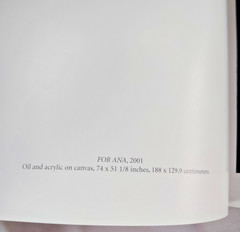 Julio Galan By Robert Miller Gallery 2001 My Mirrors Exhibit Paperback Art