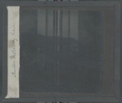 Landscape, Sea, Pines, Nature, Old Photo Glass Plate, Positive 8.5X10 Cm