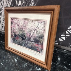 Cherry Blossom Photo Limited Edition # 4/89 Hand Signed Framed 16 1/2”x 13 1/2