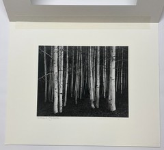 Original JOHN SEXTON ‘Aspens Dusk Conway Summit CALIFORNIA’ Signed PHOTOGRAPH