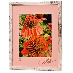 MICHAEL RAY Original Vintage Signed Long Island NY Floral Still Life Photograph