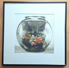 Lou Zale Limited Edition «Cat Watching Goldfish» Framed Art Photography 2015