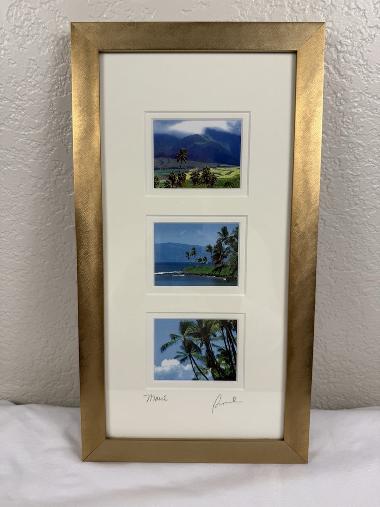 Maui Pro Photography Artist Signed Beautifully Framed and Matted