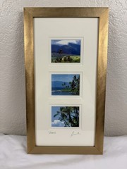 Maui Pro Photography Artist Signed Beautifully Framed and Matted