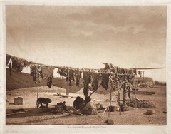 Edward S. Curtis “In Camp” c1908 Original Photogravure on Japanese Tissue 7×5