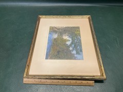 Signed Wallace Nutting 1921 «An Autumn Canopy» Hand Colored Photo ~ Framed