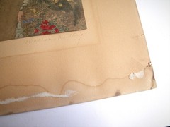 Early 1900s Wallace Nutting LARKSPUR Hand Tinted Colored Photo Signed 7″ x 9″