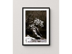 Black & White Yosemite Landscape Photography, Happy Isles Tree Photograph Signed