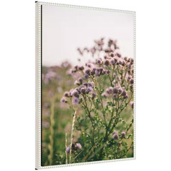 Sylvie «Soft Purple Flower» by Patricia Hasz of Patricia Rae Photography Framed