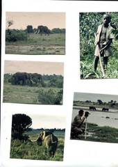 66 Old Photos Authentic Africa Circa 1950/1960, Various Dimensions