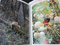 Japanese Photographic magazine «IMA» vol. 7 2014 super rare