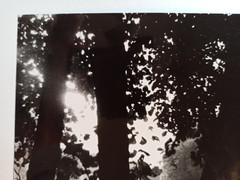 Josef Sudek (1896 – 1976) – banks of the Vltava River, Prague, 1961 – signed photo