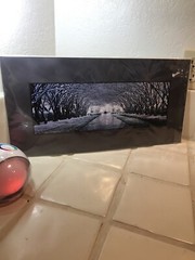This Magic Moment Photograph Gary Love Snow Texas Brand New Signed