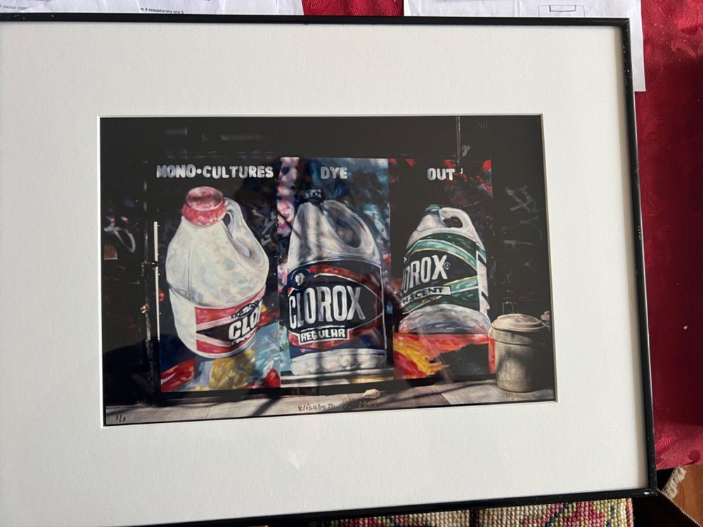 Frank H. Jump’s photograph of Mono-Cultures Dye Out -mural of Brett Cook-Dizney