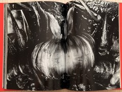 🎈SIGNED Nobuyoshi Araki – EROTOS, First Edition 1993, Japan, HC, LIBRO, SupRARE