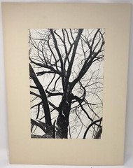 Vintage Matted Black & White Photography Nature 16” x 20” Pacific NW Photo Art