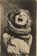 24 ~ 4X6 Glossy HORROR Fine Art ‘ SNAKE DEMON ‘ Photo FANTASY Set ! 3413712