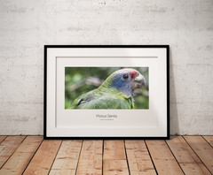multiple original artwork photography from Argentina and Brazil