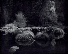 1959 Ansel Adams Yosemite Valley National Park River at Valley View Art Photo